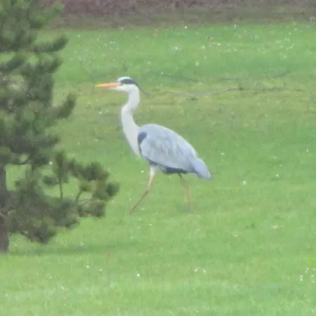 Ferienhaus Mon Doux Repos